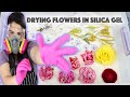 UPDATED! How I Dry Flowers in Silica Gel! Taking a FLORAL ARRANGEMENT & Drying it in SILICA GEL!