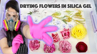 UPDATED! How I Dry Flowers in Silica Gel! Taking a FLORAL ARRANGEMENT & Drying it in SILICA GEL!