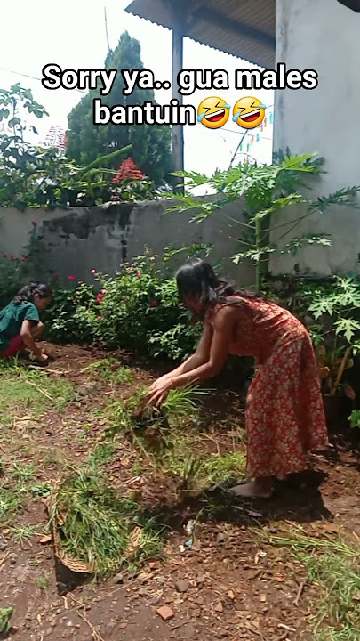 jail amat sih #viralvideo #beranda #trending #masukberanda #viral #automobile #trendingshorts