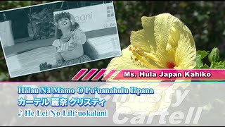 全日本フラ選手権19 ミズフラジャパン カヒコ 優勝 Youtube 全日本フラ選手権19 ミズフラジャパン カヒコ 優勝 Youtube