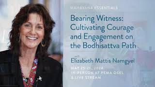 Elizabeth Mattis Namgyel: Bearing Witness