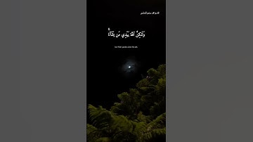 #المنشاوي #قرآن سورة [القصص] الآية ٥٦
