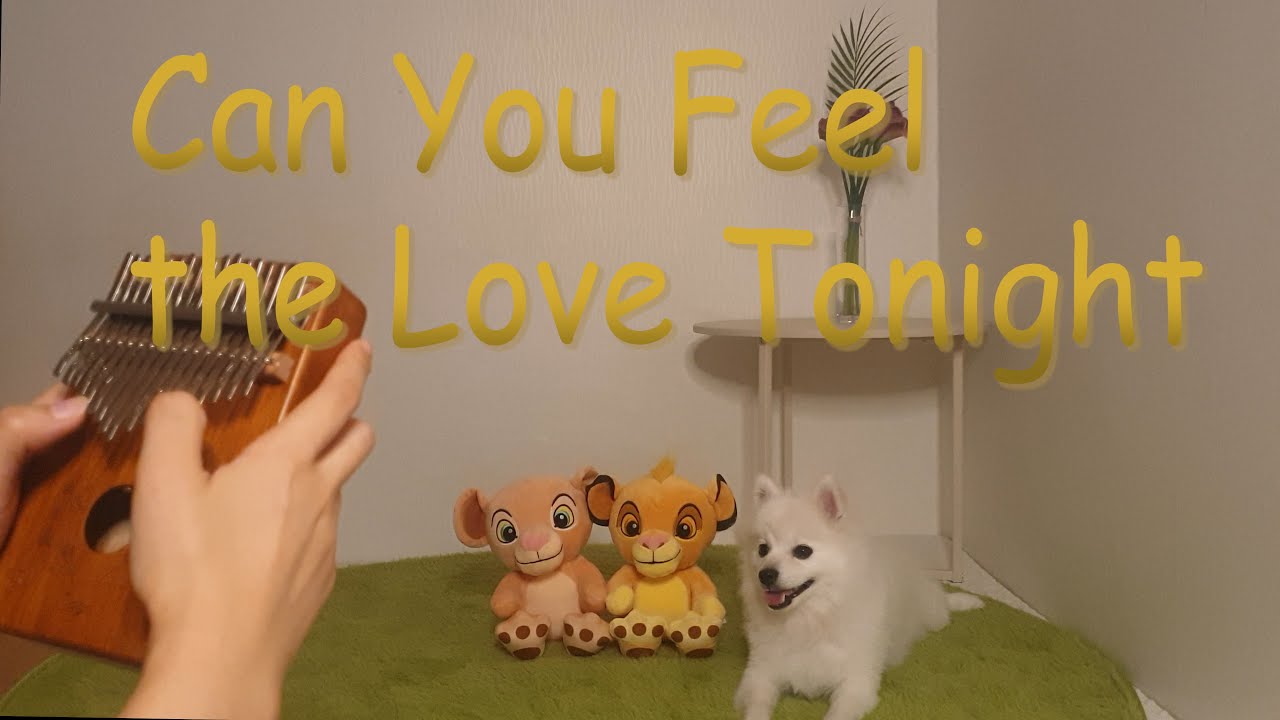 [Kalimba Cover] Can You Feel the Love Tonight - The Lion King OST - YouTube