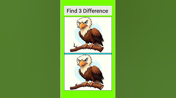 Can you find the 3 Hidden difference Part 163