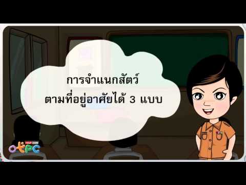 การจำแนกสัตว์ตามที่อยู่อาศัย - วิทยาศาสตร์ ป.1