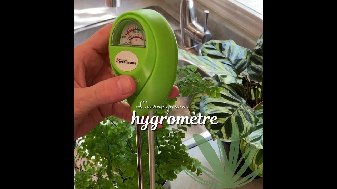 Utiliser un hygromètre pour mesurer le besoin d'eau des plantes 