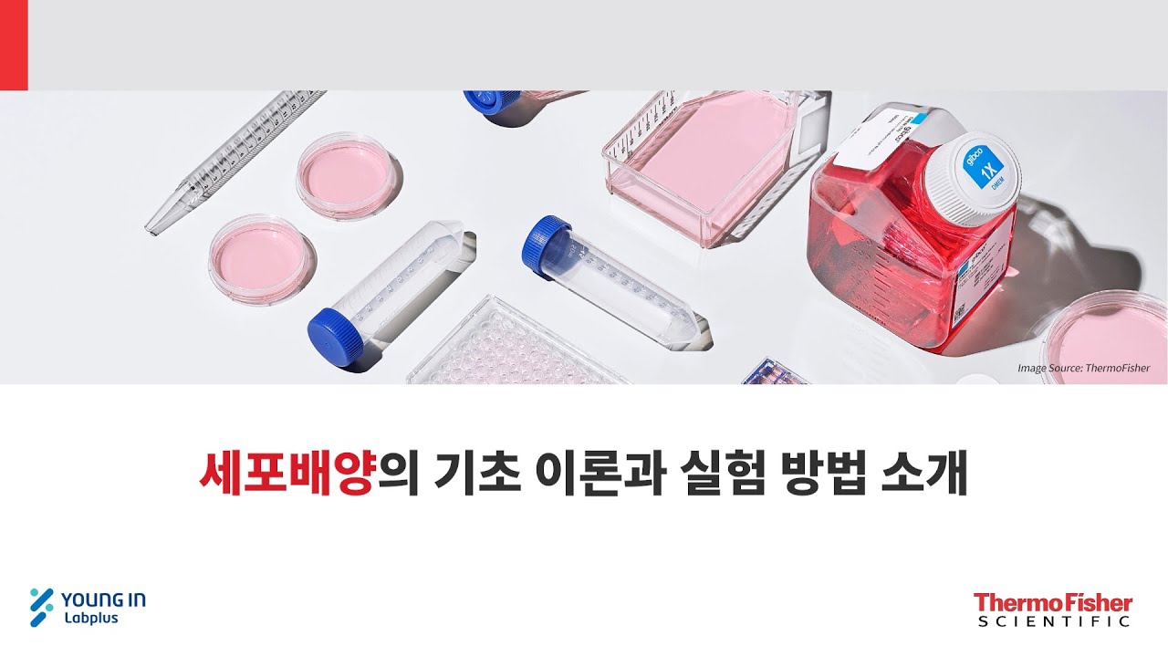 [영인랩플러스] (ThermoFisher) 세포배양의 기초 이론과 실험 방법 소개