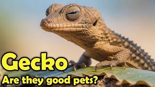 10 Amazing Gecko Facts You Need to Know! by Learn about Animals 1,168 views 5 months ago 9 minutes, 17 seconds