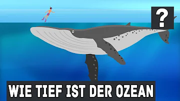 Wie tief ist das Meer wirklich?