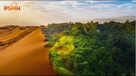 Những Bí Ẩn Dưới Lớp Cát Sa Mạc SAHARA