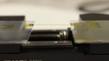 Uniaxial Stretching of Kirigami Inspired Strain Insensitive Graphene Based Electrode