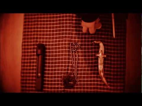 Reveal - 7ntro