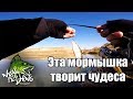 Мормышинг или как уйти от нуля! Рыбалка на 2 часа на егорлыкском канале