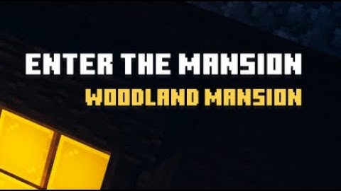 [Minecraft Dungeons] 