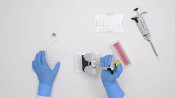 Magnetic 3D Bioprinting of Spheroids