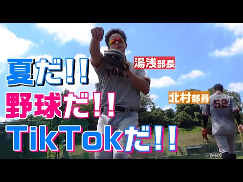 夏だ！野球だ！TikTokだ！