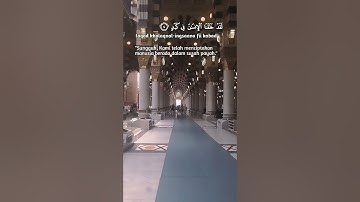 SURAH AL BALAD سورة البلد Egzon ibrahimi Beautiful Voice #egzonibrahimi #albalad