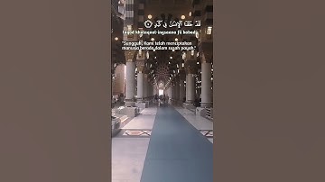 SURAH AL BALAD  سورة البلد Egzon ibrahimi Beautiful Voice #egzonibrahimi #albalad