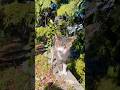 ぽかぽかびより