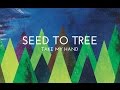 Take my hand lyric   seed to tree