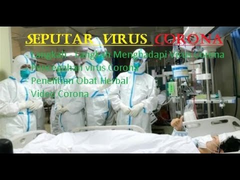 virus-corona-ii-apa-itu-virus-corona-ii