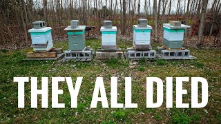 My LOVE / HATE Relationship with BEEKEEPING ?