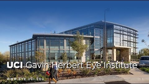 AI and Deep Learning in Biomedical Science