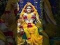 Radhe Radhe #shiyam #krishnabhakti #hindufestival #sorts #music #siyaram #hindugod #live #barasana