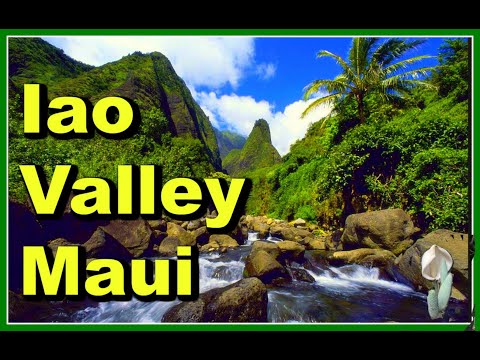 Video: Iao Valley State Park op Maui, Hawaii