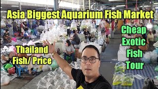 Thailand Biggest Aquarium Fish Market complete tour and Prices @kenaqua