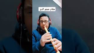 مقام عجم الدو تصوير علي كوله حسيني عزف صابر كولة  يوتيوب                تيك توك   صابر كولة - اسمعها
