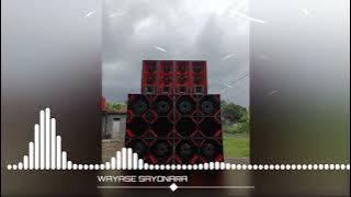 IRT_WAYASE SAYONARA_(ADRIVELSOUND)_2025