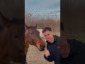 Horses Being Absolute Clowns Compilation#Funny horses#horse fails#silly horses#goofy horses