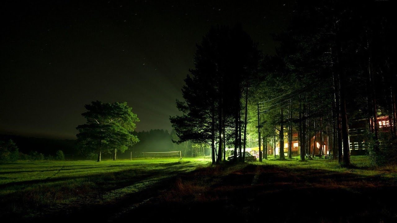 Night Suburb Forest Walking ASMR 🌙 🌃 🌳