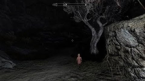 Skyrim  most random  encounter