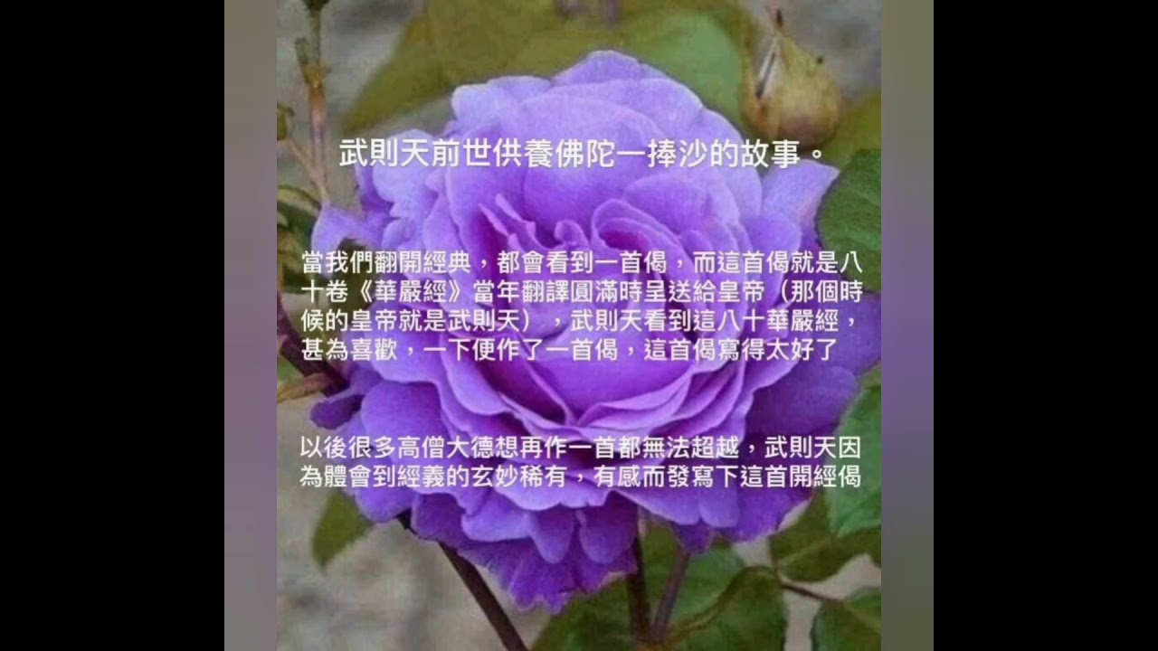 武則天因為前世供養過佛陀一捧沙而日後成為一代女皇 那為何她又墮落成一隻老鼠呢 粵語 Youtube
