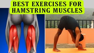 Hamstring Muscles Opening Practicesforward Flexibility Trainingforward And Leg Muscles Exercises