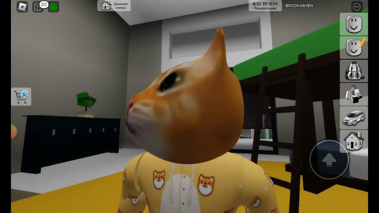 как сделать кота в брукхейвен. истории роблокс тавер. как сделать кота в брукхейвен. скин в brookhaven роблокс. брукхейвен роблокс.