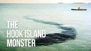 The Hook Island Monster