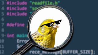 This Is How Little Birds Secretly Keep Your Code Safe