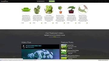 ECO Responsive Environment WordPress Theme