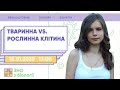 Тваринна vs. рослинна клітина | Біологія ЗНО | Екзам