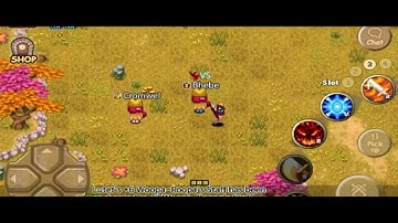 TWOM IMO: Bot Hunting on Darlene | Pt. 1