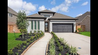 The Dalhart (4841 Plan) in Missouri City, TX