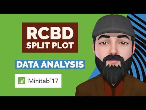 RCBD with Split Plot Arrangement- Data Analysis in Minitab 17 - Dr. Rizwan Maqbool