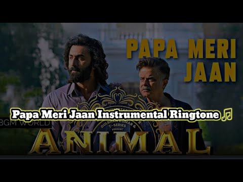 Ho Meri Jaan Tum Papa Ringtone Download - Rinnect