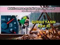 36 surah yasin ayat 80  bahan api dari pohonhijau