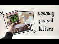 💌 Opening Penpal Letters #8