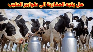 هل يتجه المغرب الى طوابير الحليب هنا تفسير سبب قلة انتاج الحليب و مشتقاته مؤخرا