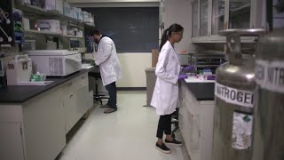 A Cutting-Edge Technology for Preimplantation Genetic Testing for IVF Parents | The Balancing Act